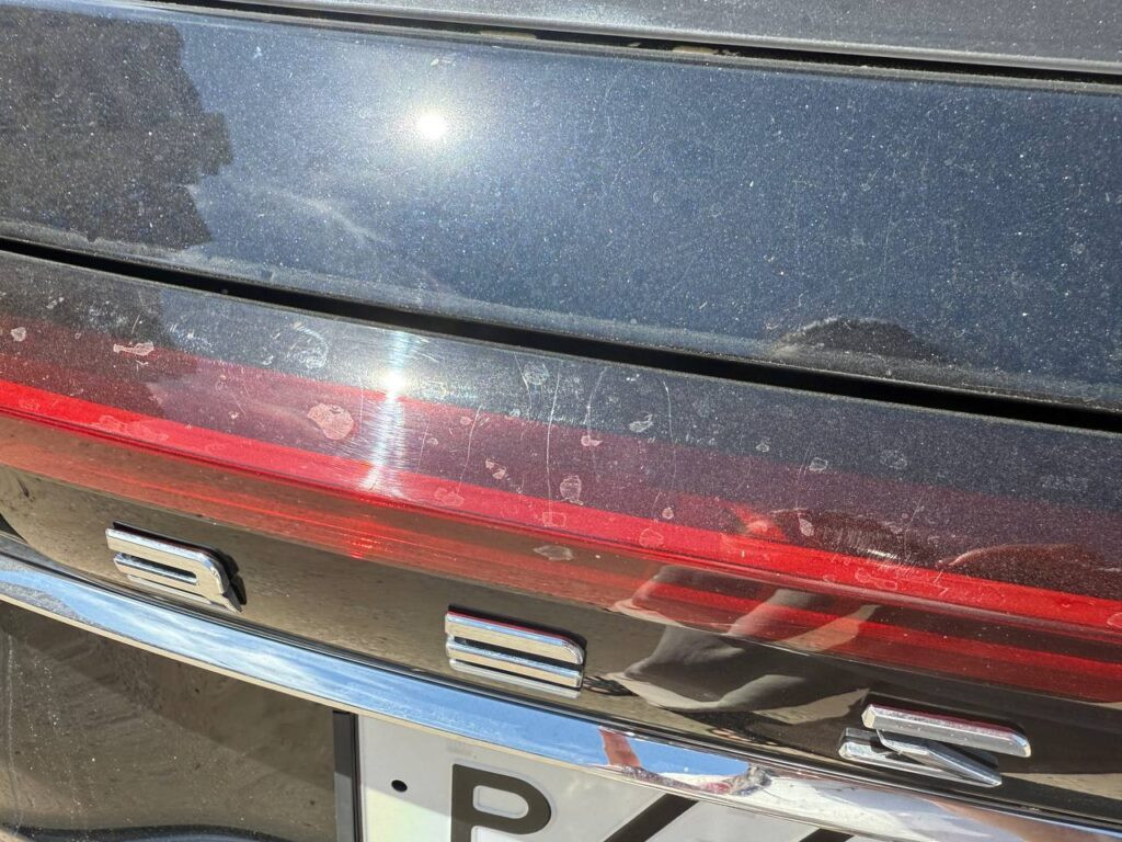 Астраханцы жалуются на порчу автомобилей соседскими голубями — фото 2