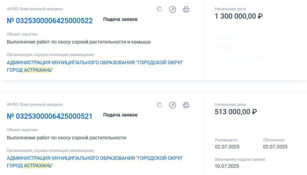 Почти 2 млн на скос: в Астрахани продолжают бороться с сорной растительностью — фото 1