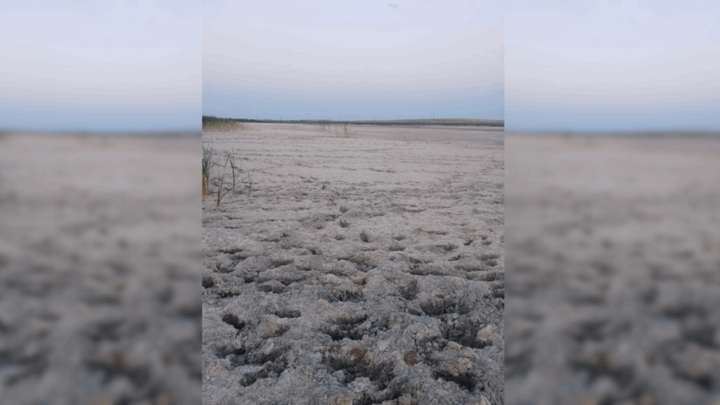 Лучше вряд ли будет: подстепные ильмени в Астраханской области продолжат высыхать