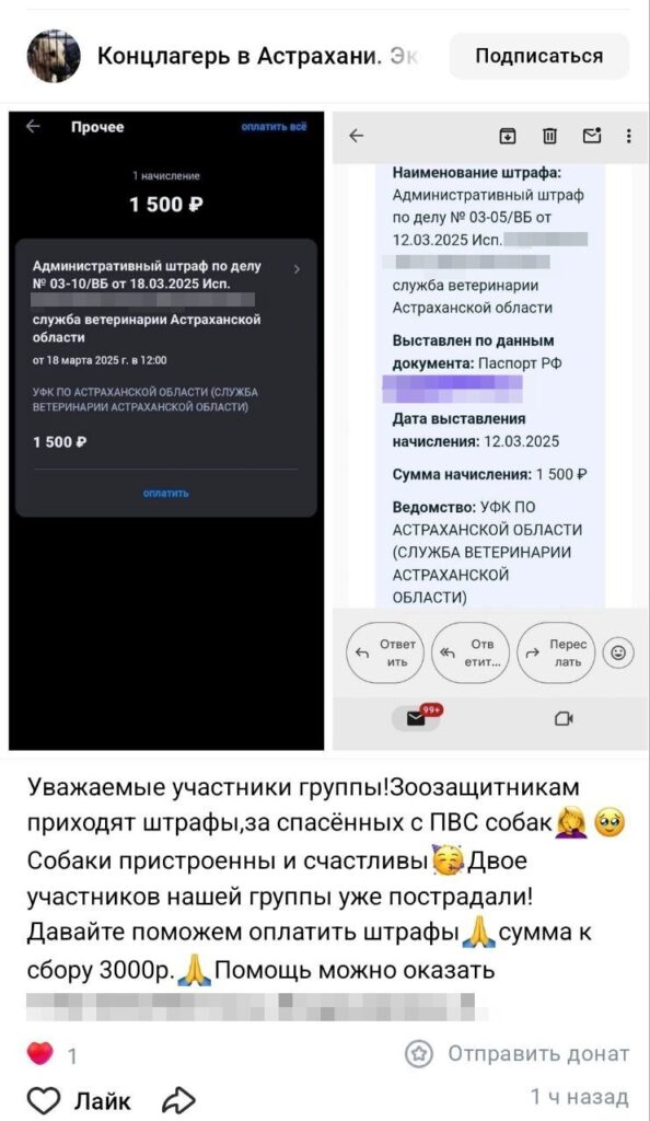 Астраханским зоорадикалам начали приходить штрафы за «спасенных» собак, выброшенных на улицы — фото 2