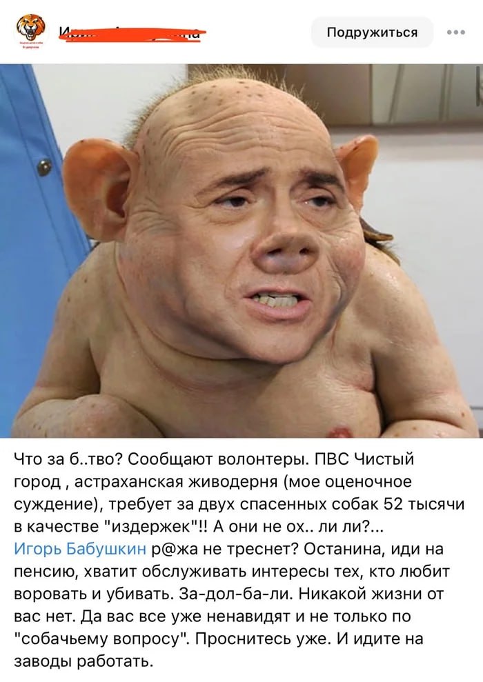 Астраханским зоорадикалам начали приходить штрафы за «спасенных» собак, выброшенных на улицы — фото 1