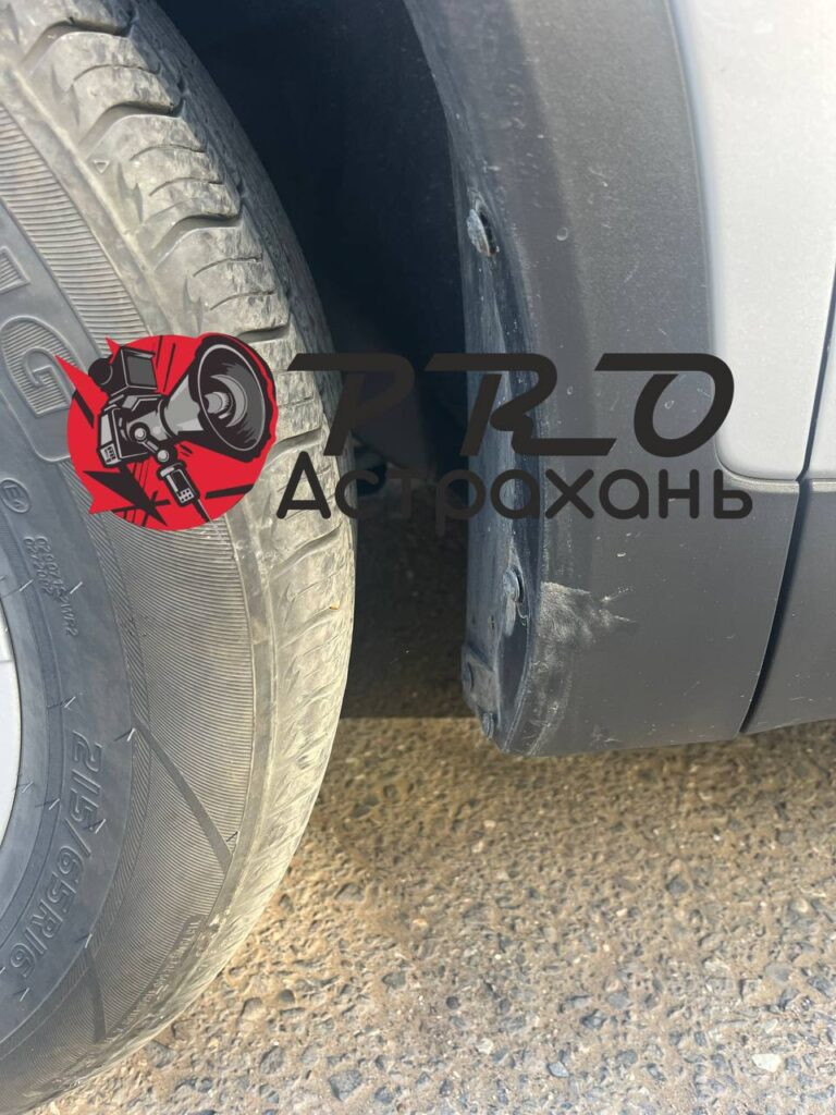 Собаки продолжают уродовать машины астраханцев — фото 2