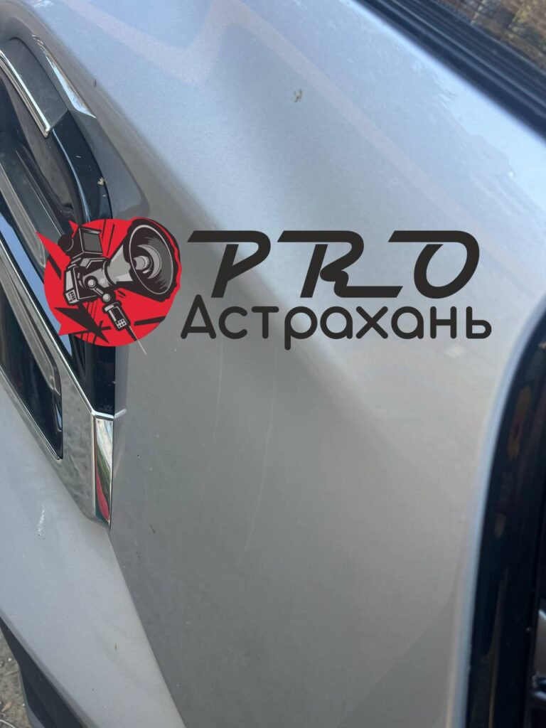 Собаки продолжают уродовать машины астраханцев — фото 4