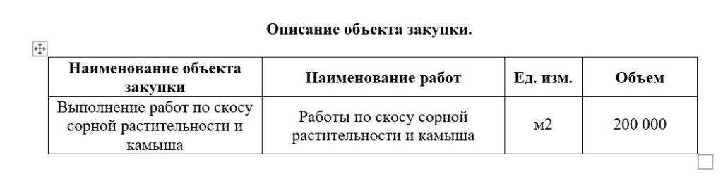 Почти 2 млн на скос: в Астрахани продолжают бороться с сорной растительностью — фото 3