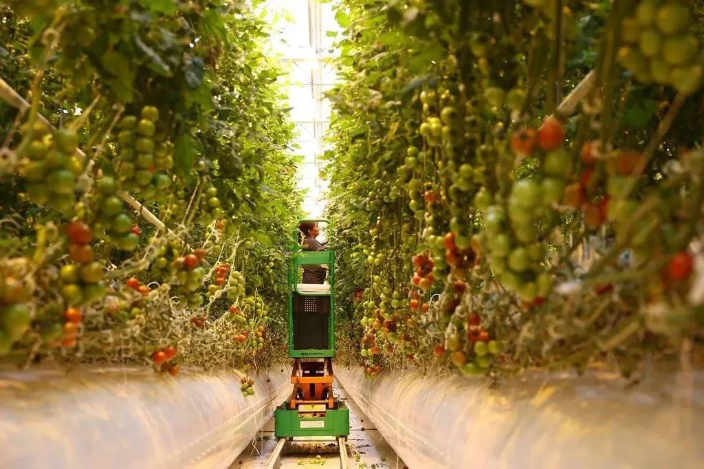 Инвестиционная программа Астраханской области на 2025–2030 годы получила высокую оценку на федеральном уровне