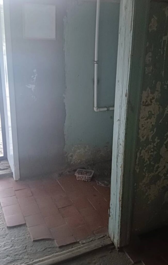 Одна из районных больниц Астраханской области превратилась в собачье пристанище — фото 1