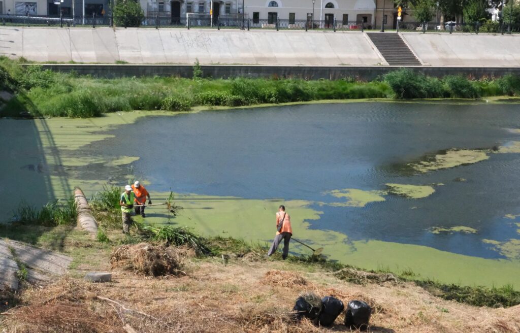 Астраханские коммунальщики очищают городские водоемы и парки от водорослей и сорняков