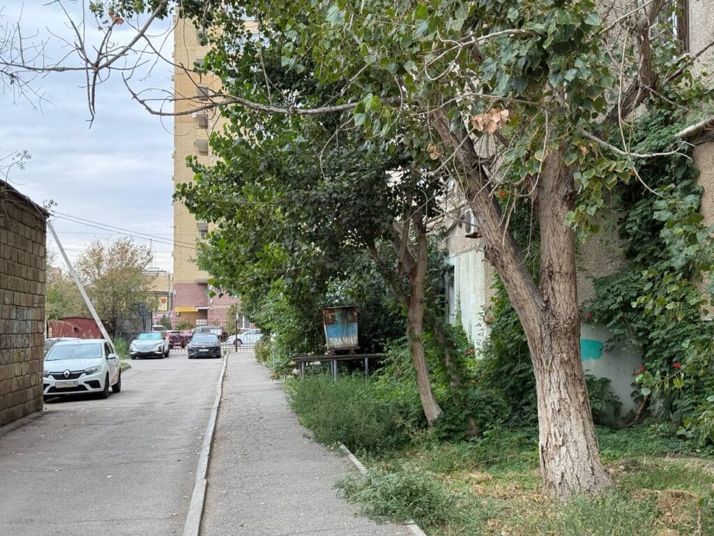 Жители Астрахани показали состояние своего двора прямо в сердце города — фото 15