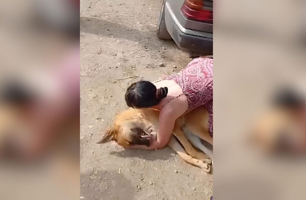 «Убей меня, потом заберешь»: астраханские зоорадикалы продолжают шокировать общественность