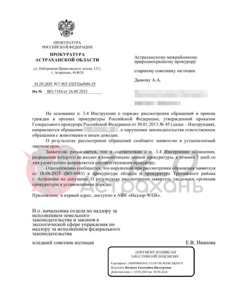 Астраханец полгода не может добиться отлова агрессивных собак из-за бюрократической эпопеи — фото 2