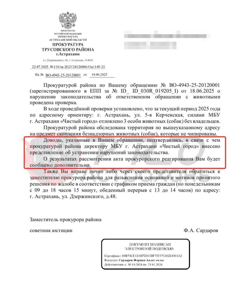 Астраханец полгода не может добиться отлова агрессивных собак из-за бюрократической эпопеи — фото 1