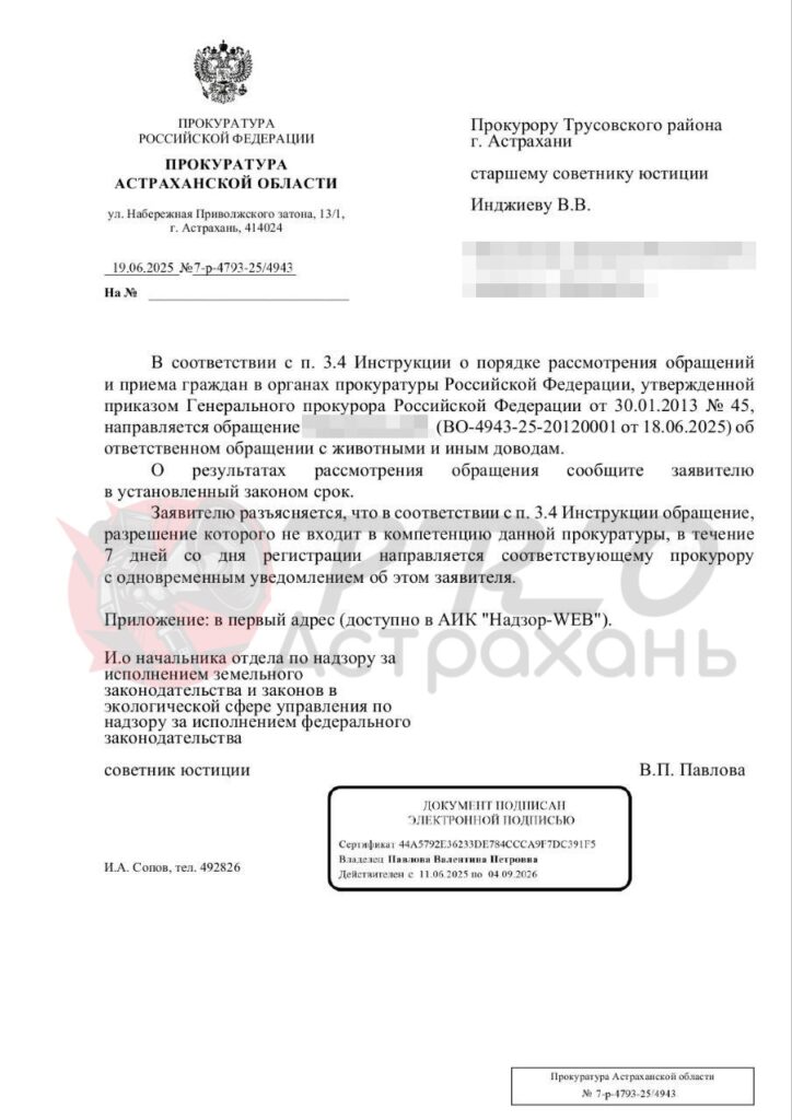 Астраханец полгода не может добиться отлова агрессивных собак из-за бюрократической эпопеи — фото 5