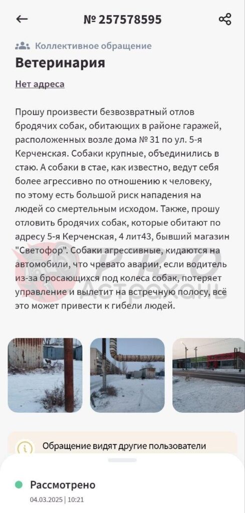 Астраханец полгода не может добиться отлова агрессивных собак из-за бюрократической эпопеи — фото 6