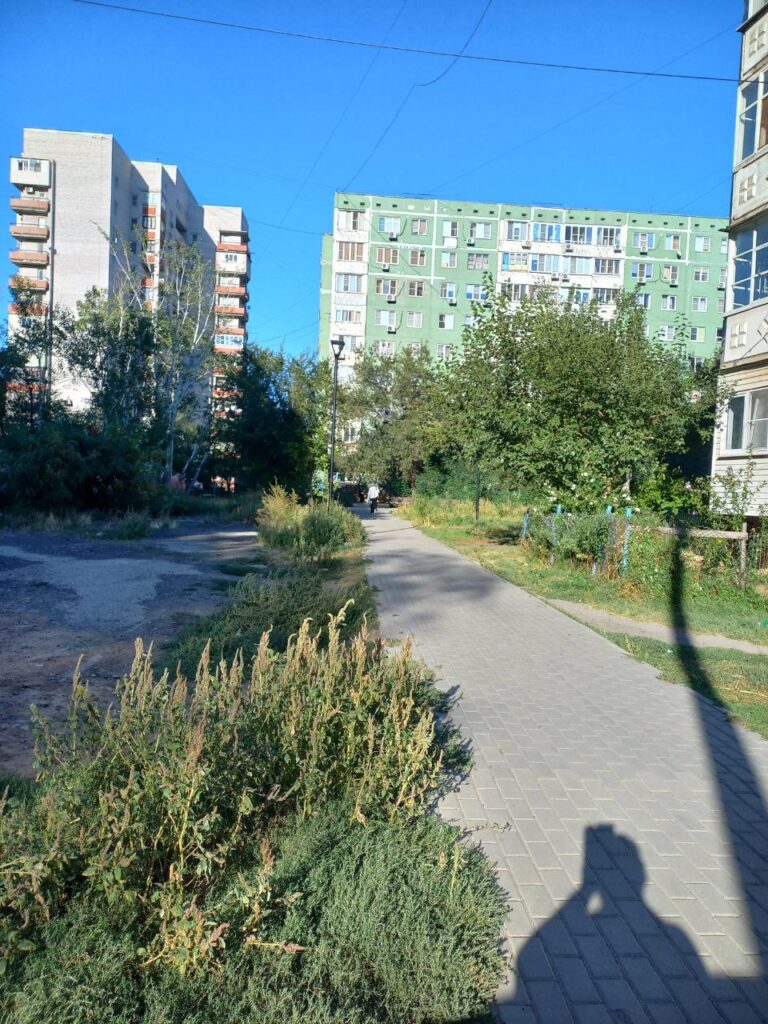 Ветки и мусор: астраханцы жалуются на ужасное состояние прогулочной аллеи — фото 2