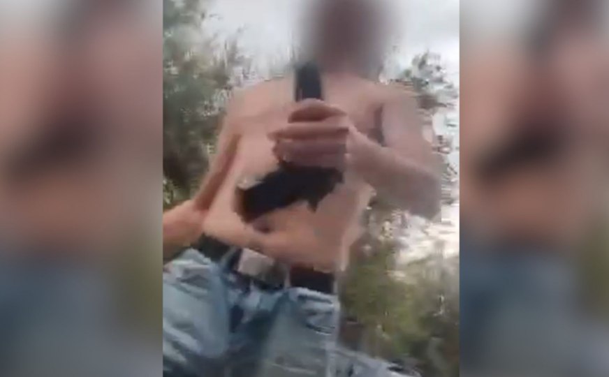 Сотрясение мозга и многочисленные ушибы: астраханские зоорадикалы продолжают нападать на отловщиков собак