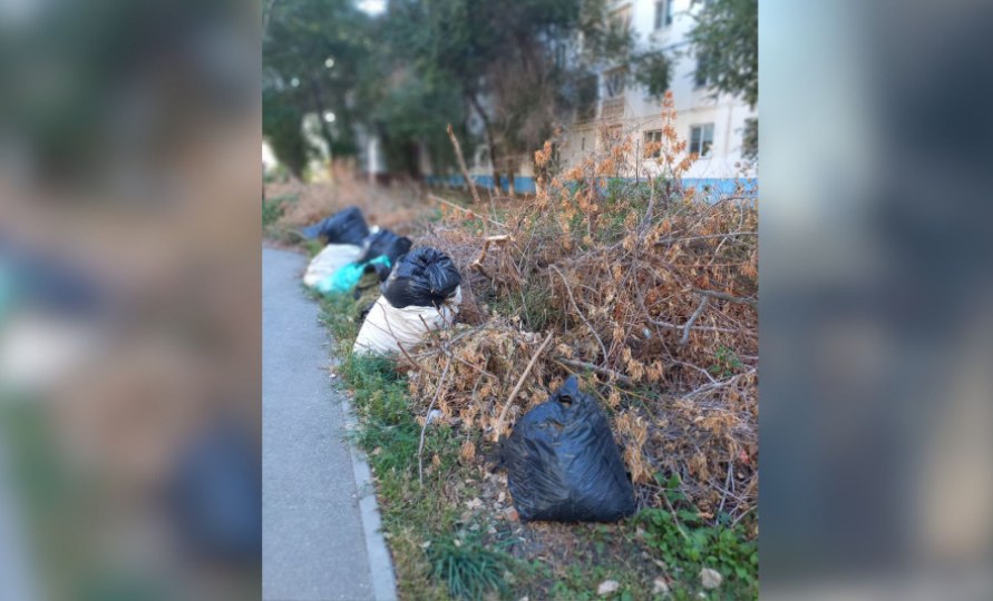 Ветки и мусор: астраханцы жалуются на ужасное состояние прогулочной аллеи