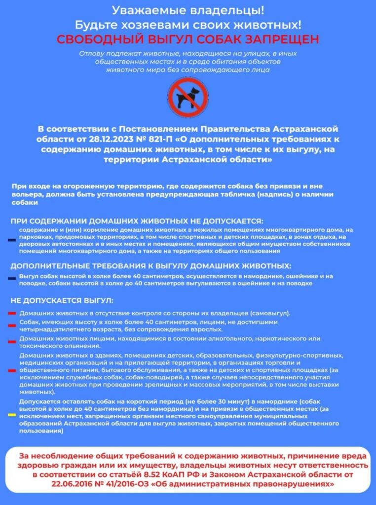 Астраханцев массово штрафуют за бесконтрольный выгул собак — фото 2
