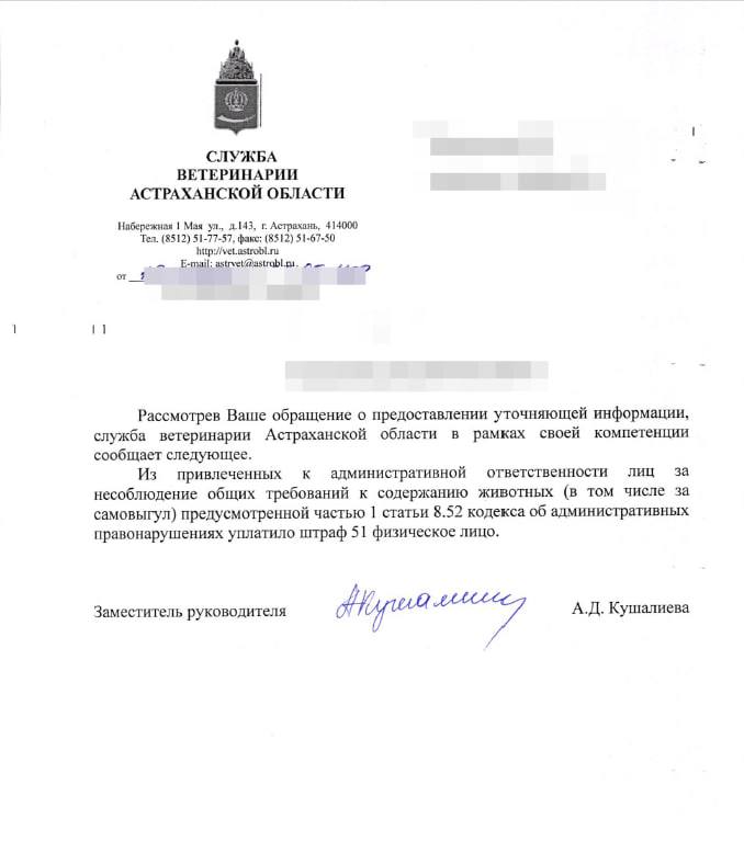 Астраханцев массово штрафуют за бесконтрольный выгул собак — фото 1