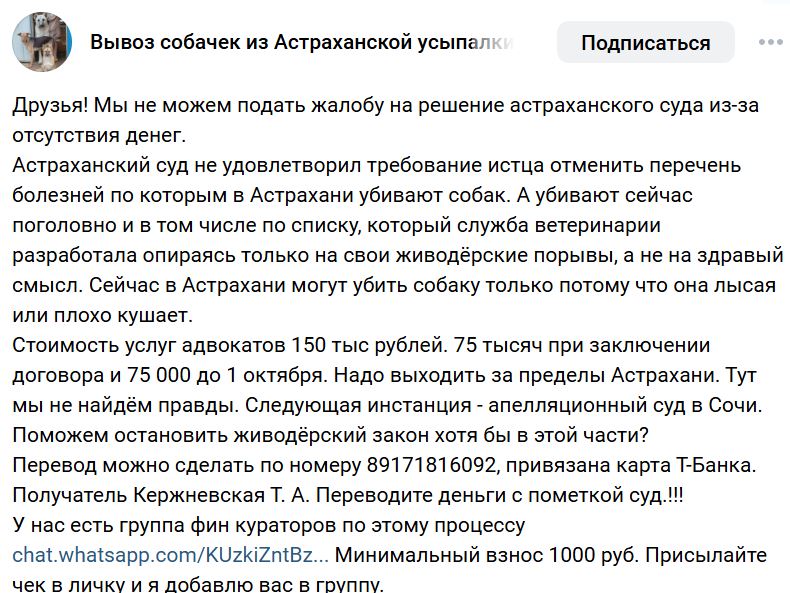 150 тысяч на адвоката: астраханцев удивил сбор средств, объявленный зоорадикалами — фото 2
