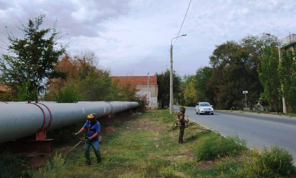 Более 55 гектаров сорняков скосили в Астрахани за сентябрь