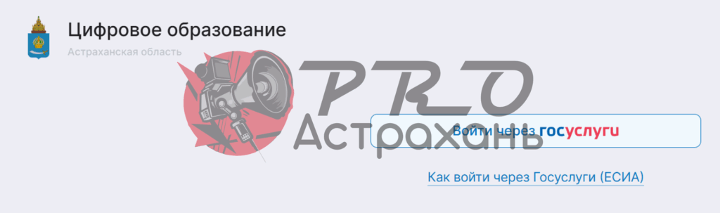 «Цифровая чехарда»: Астраханская область снова меняет электронные дневники, сбивая с толку родителей, детей и учителей