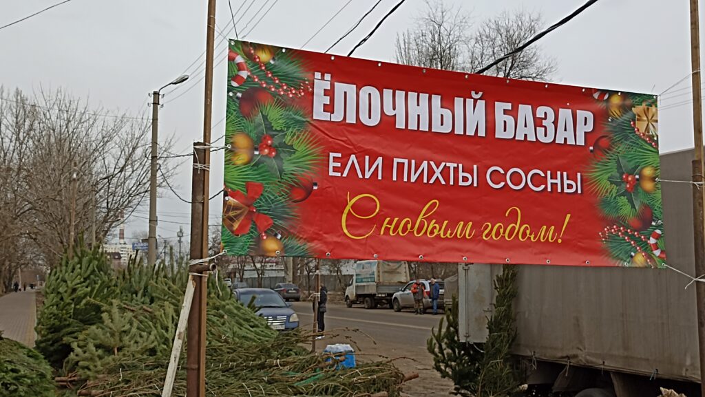 В Астрахани утвердили адреса новогодних елочных базаров