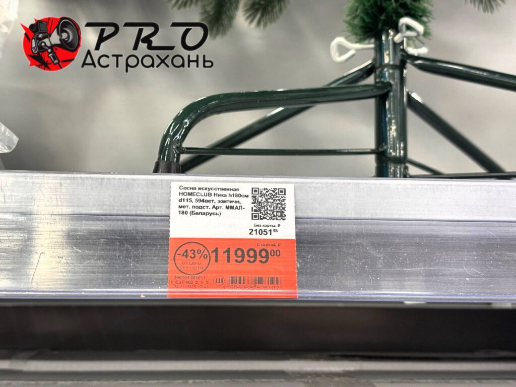 Первые елки уже в Астрахани: сколько стоит новогоднее чудо — фото 9