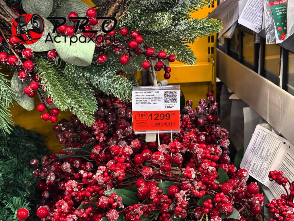 Первые елки уже в Астрахани: сколько стоит новогоднее чудо — фото 26