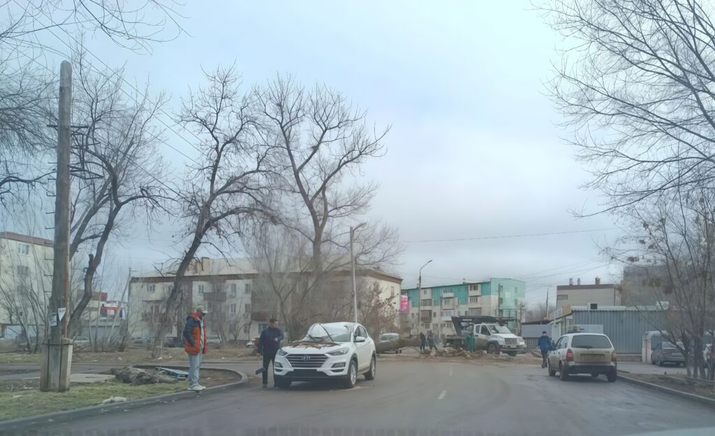 В Астрахани старое дерево рухнуло на иномарку: хозяин готовит иск к муниципалитету