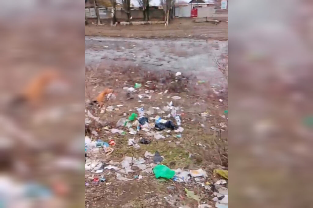 Жители астраханского села тонут в мусоре из-за отсутствия подъездных путей