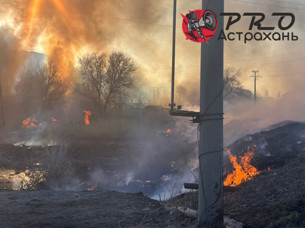 В Астраханской области объявили пожароопасный сезон: штрафы до 400 тысяч