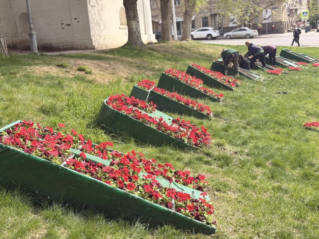 К майским праздникам в Астрахани высадят около 60 тысяч цветов К майским праздникам в Астрахани высадят около 60 тысяч цветов