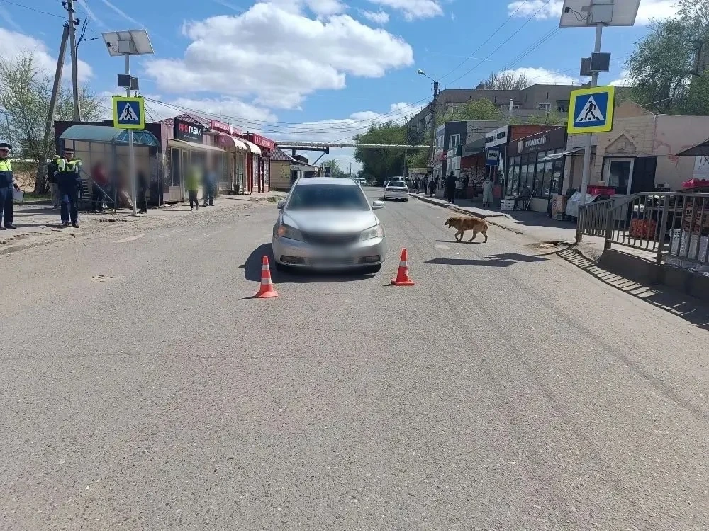 В Астрахани за два часа произошло два ДТП со сбитыми девочками В Астрахани за два часа произошло два ДТП со сбитыми девочками