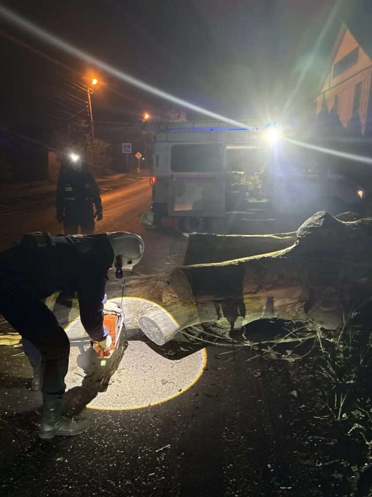 В Астрахани дерево рухнуло на проезжую часть и едва не спровоцировало ДТП