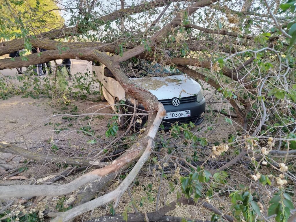 Крыши трещат, деревья падают: в Астрахани забыли объявить штормовое предупреждение