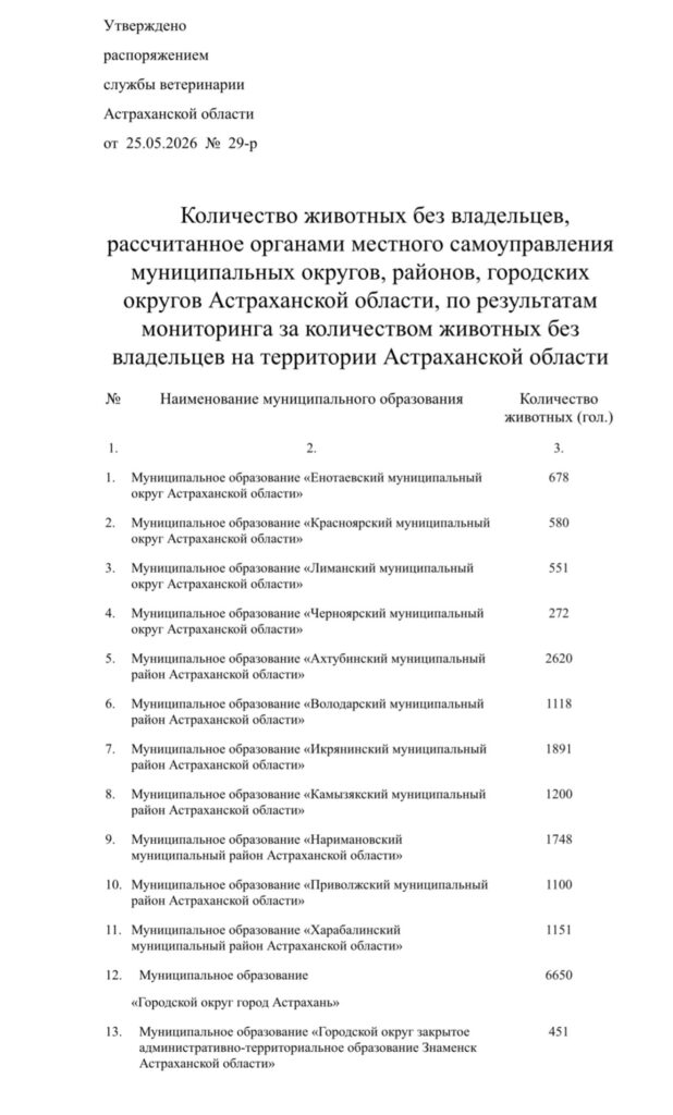 Эффект обратного действия: почему в зоне тотальной эвтаназии собак стало ещё больше