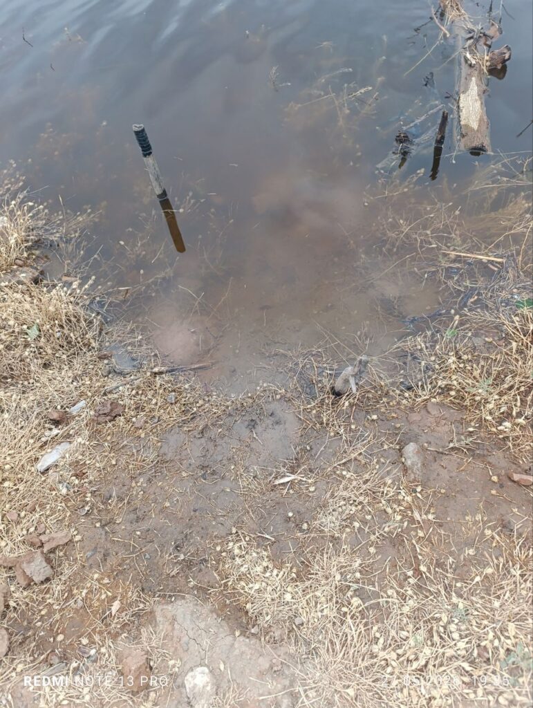 Утки, рыба и дворы в воде: в Астраханской области «большая вода» топит село Началово — фото 8