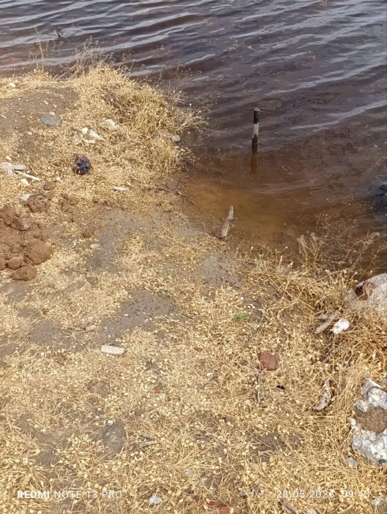 Утки, рыба и дворы в воде: в Астраханской области «большая вода» топит село Началово — фото 9