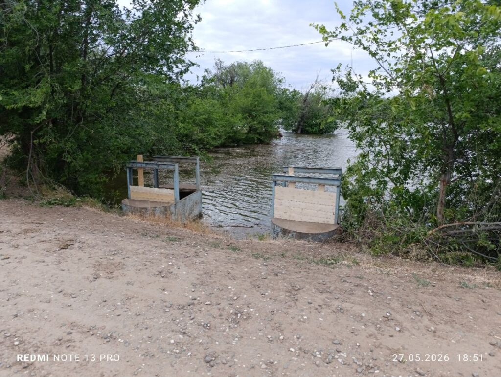 Утки, рыба и дворы в воде: в Астраханской области «большая вода» топит село Началово — фото 5