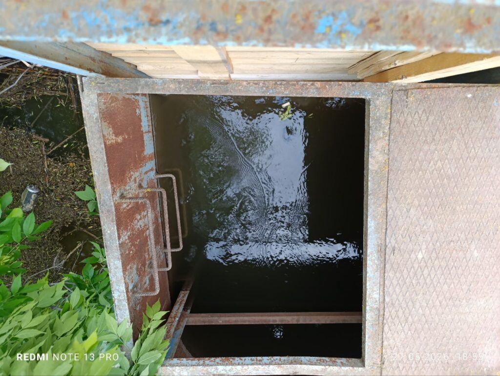 Утки, рыба и дворы в воде: в Астраханской области «большая вода» топит село Началово — фото 6