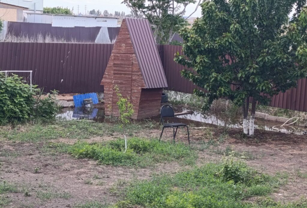 Утки, рыба и дворы в воде: в Астраханской области «большая вода» топит село Началово — фото 3
