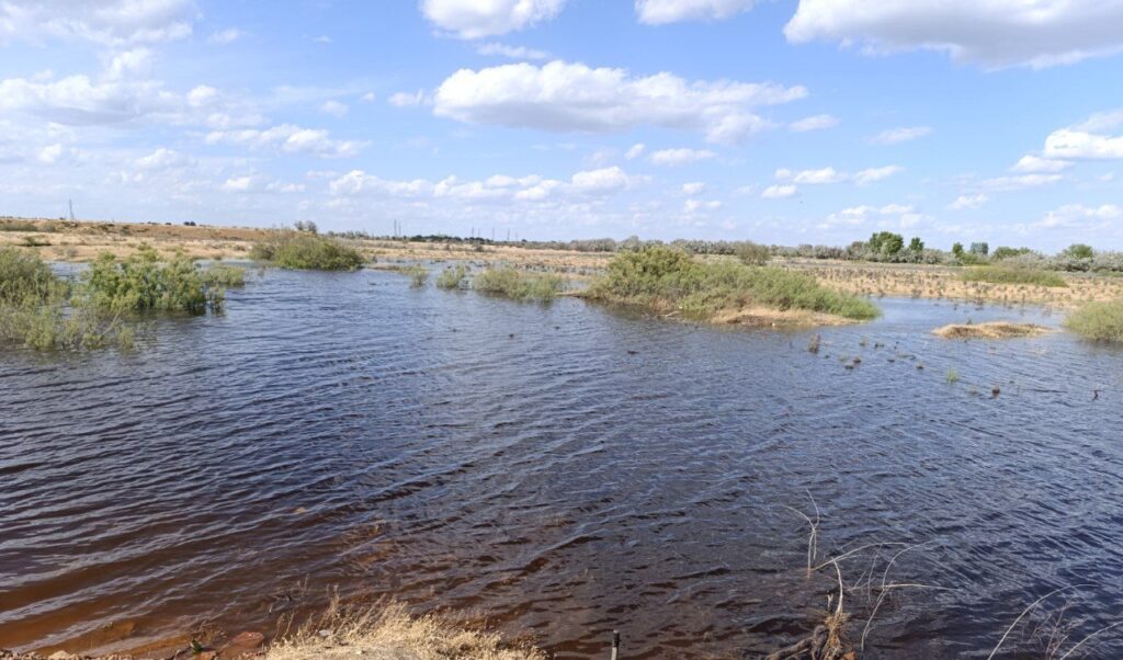 Утки, рыба и дворы в воде: в Астраханской области «большая вода» топит село Началово