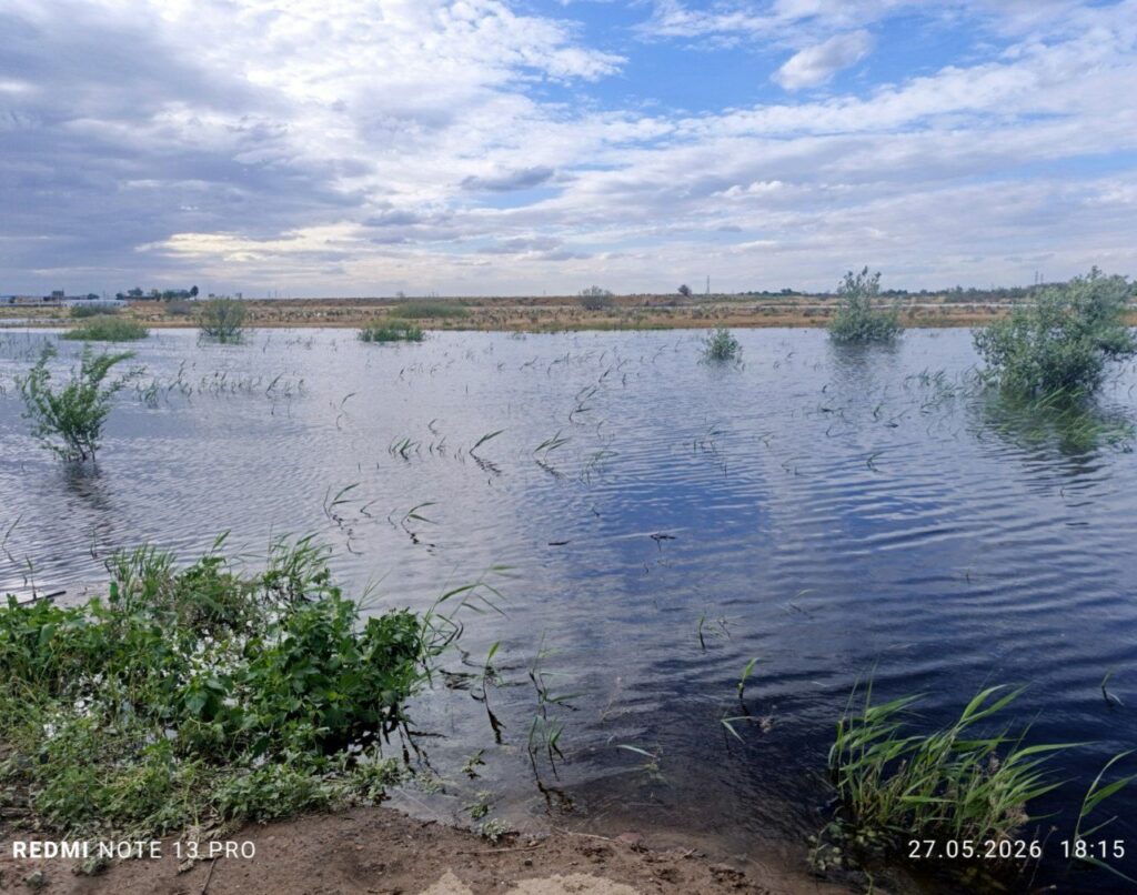 Утки, рыба и дворы в воде: в Астраханской области «большая вода» топит село Началово — фото 2