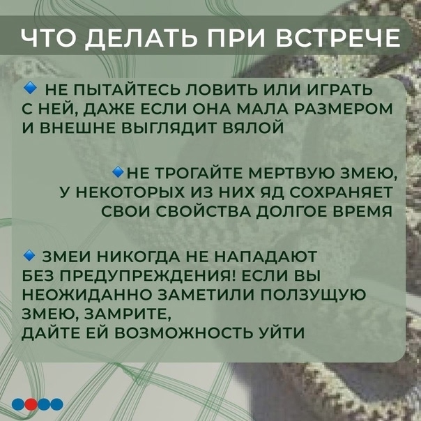Змея решила посетить астраханскую спортивную школу: рептилию выдворили спасатели — фото 1