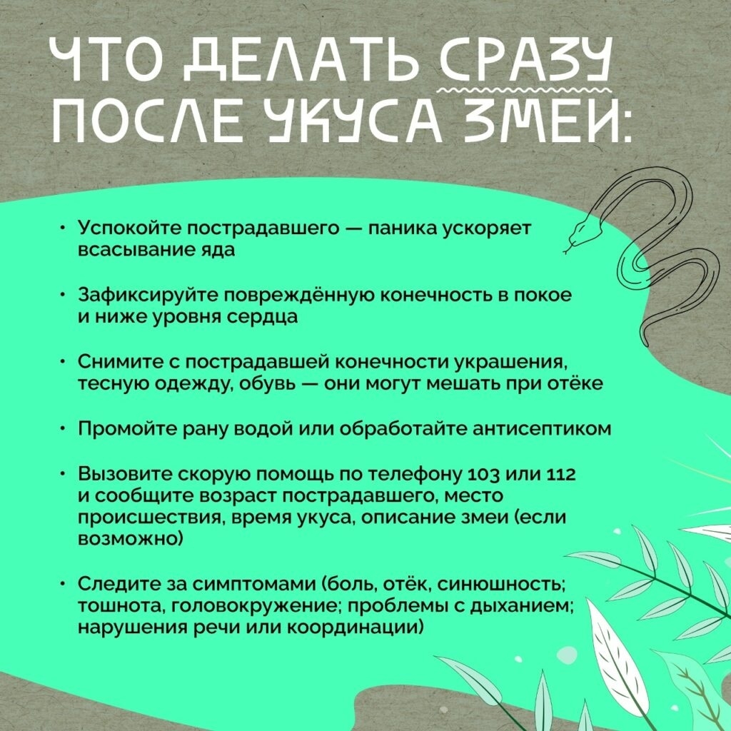 Змея решила посетить астраханскую спортивную школу: рептилию выдворили спасатели Змея решила посетить астраханскую спортивную школу: рептилию выдворили спасатели