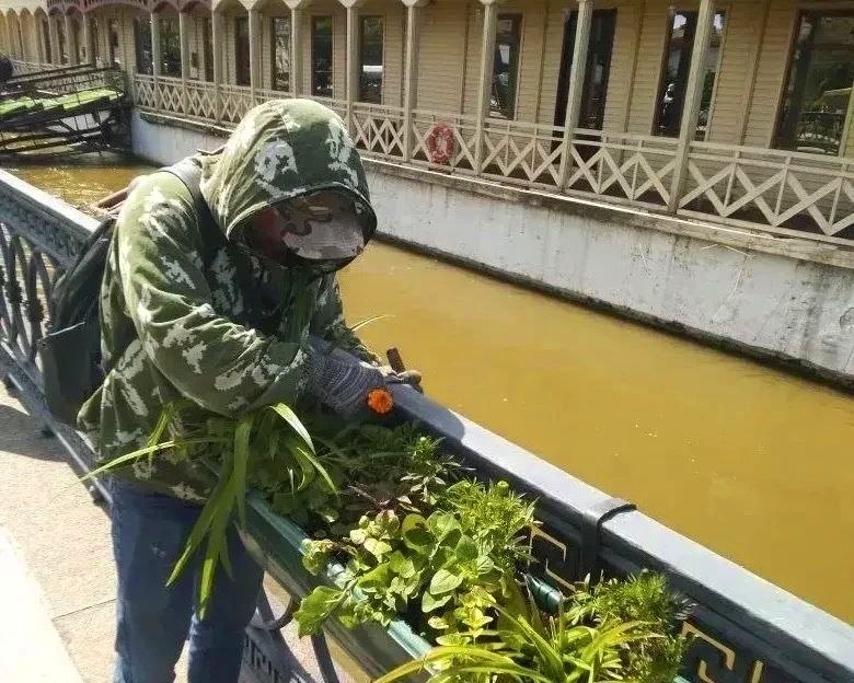 Астрахань расцветает к празднику — город активно озеленяют