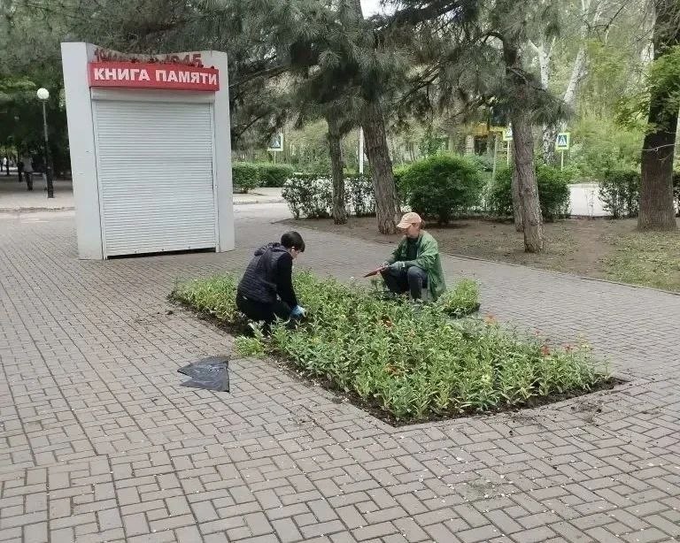 Астрахань расцветает к празднику — город активно озеленяют