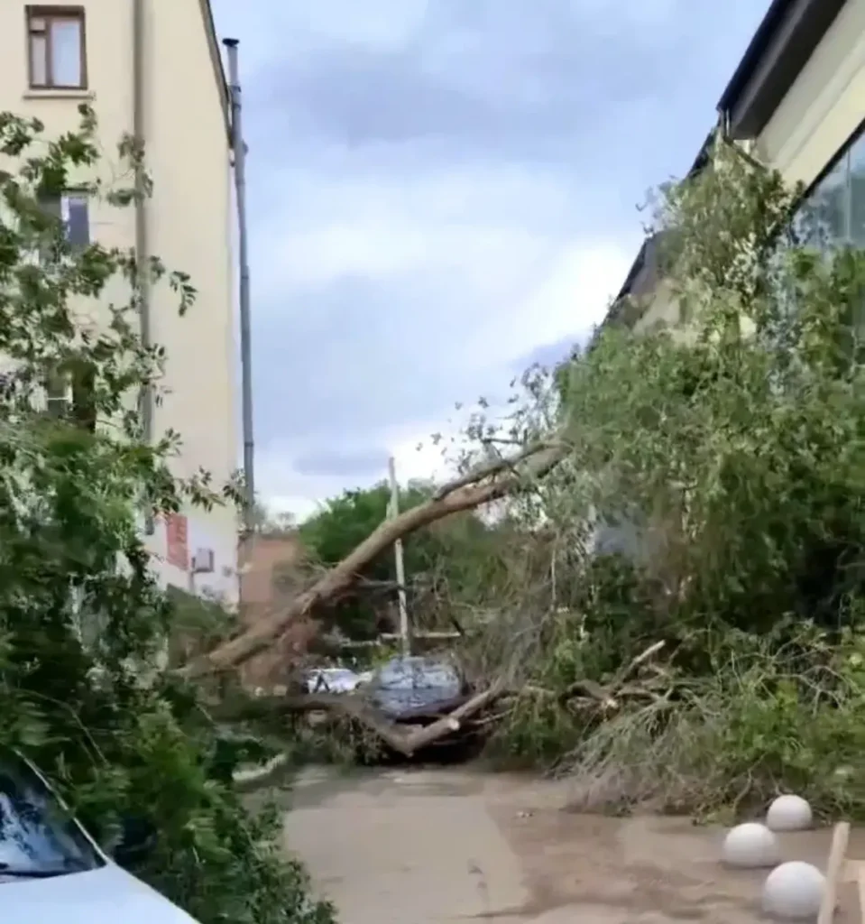 В Астрахани подсчитывают ущерб от урагана: погибший крановщик, десятки упавших деревьев и пыльная буря