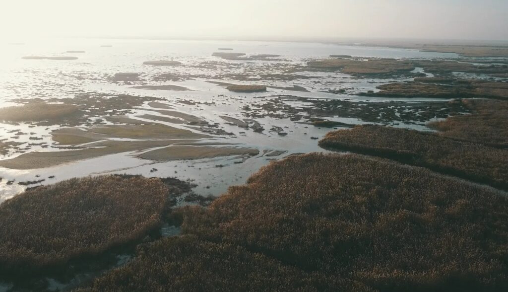 День Волги в Астрахани: как главная река страны создала наш край — фото 1