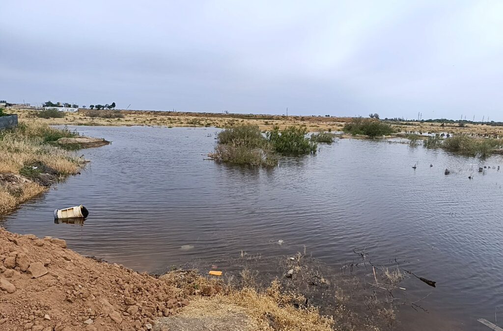 Большая вода пришла, откуда не ждали: почему паводок-2026 топит астраханские села и кто в этом (не) виноват